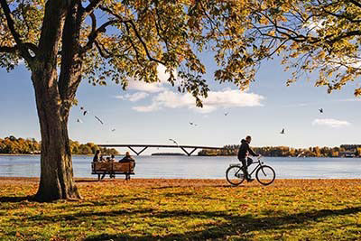 Mobirise